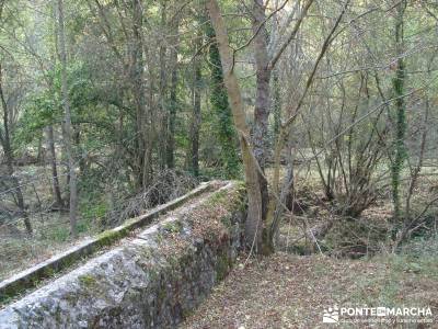 Hoces del Río Duratón - Sepúlveda;senderismo alcobendas viajes organizados viajes senderismo sema